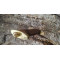 Гольбейн – мисливський кинжал ручна робота. Photo 3